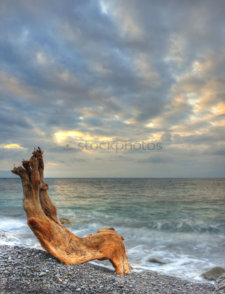 Similar – Baltic Sea coast on the island of Moen in Denmark