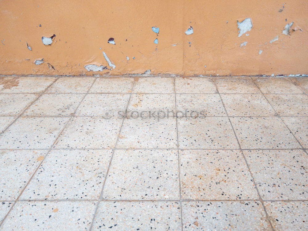 Similar – Image, Stock Photo 31 30 29 28 27 26 25 24 23 22