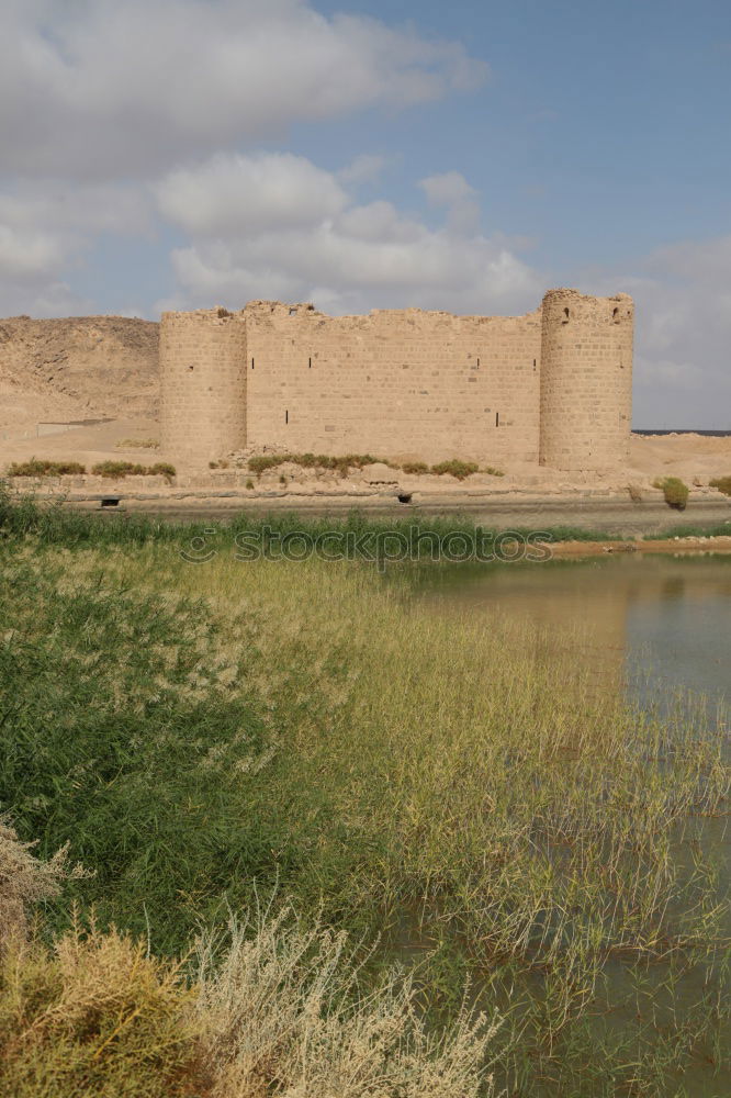 Similar – Image, Stock Photo Khiva old town, Uzbekistan