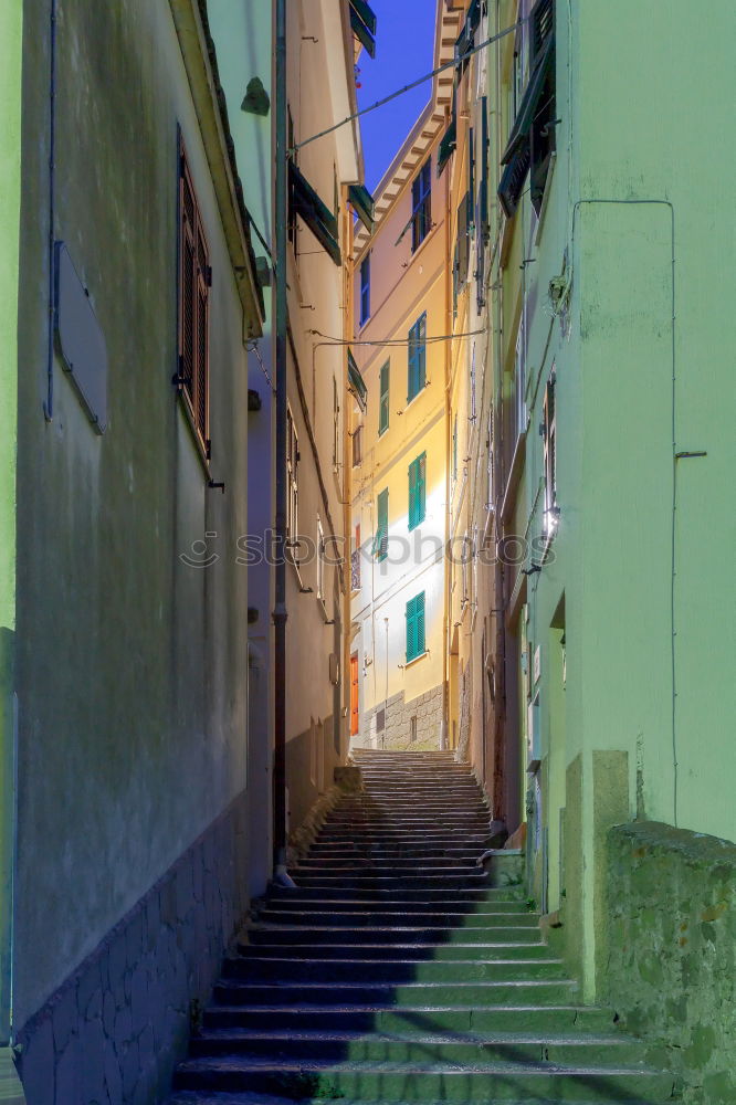 Similar – Image, Stock Photo alley run Corsica Calvi
