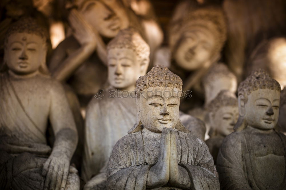 Similar – Image, Stock Photo Buddhist statues in a temple in Vietnam