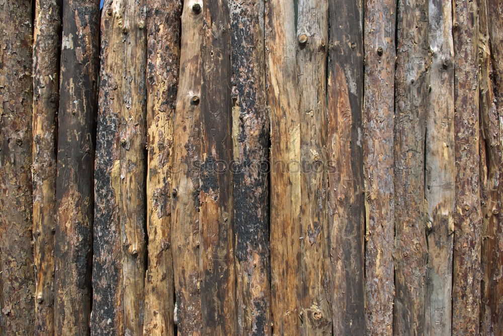 Similar – Image, Stock Photo Wood with history