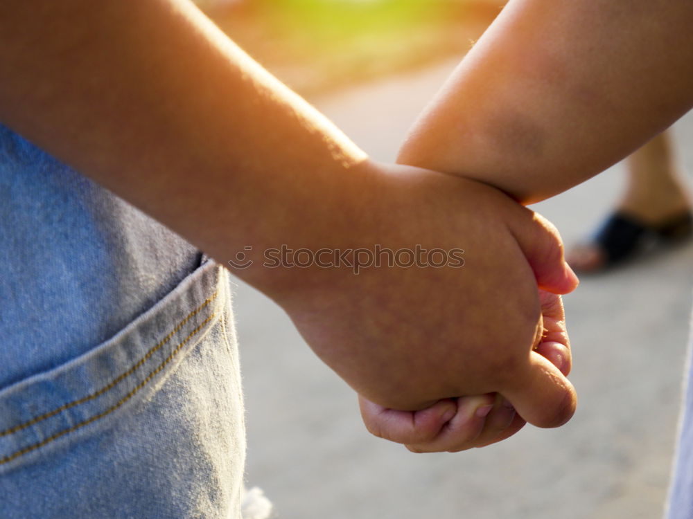 Image, Stock Photo Legs of a beautiful young family