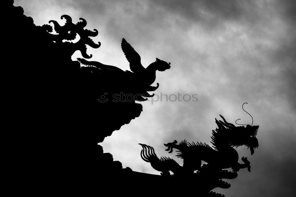 Image, Stock Photo Sky Rider III Dresden