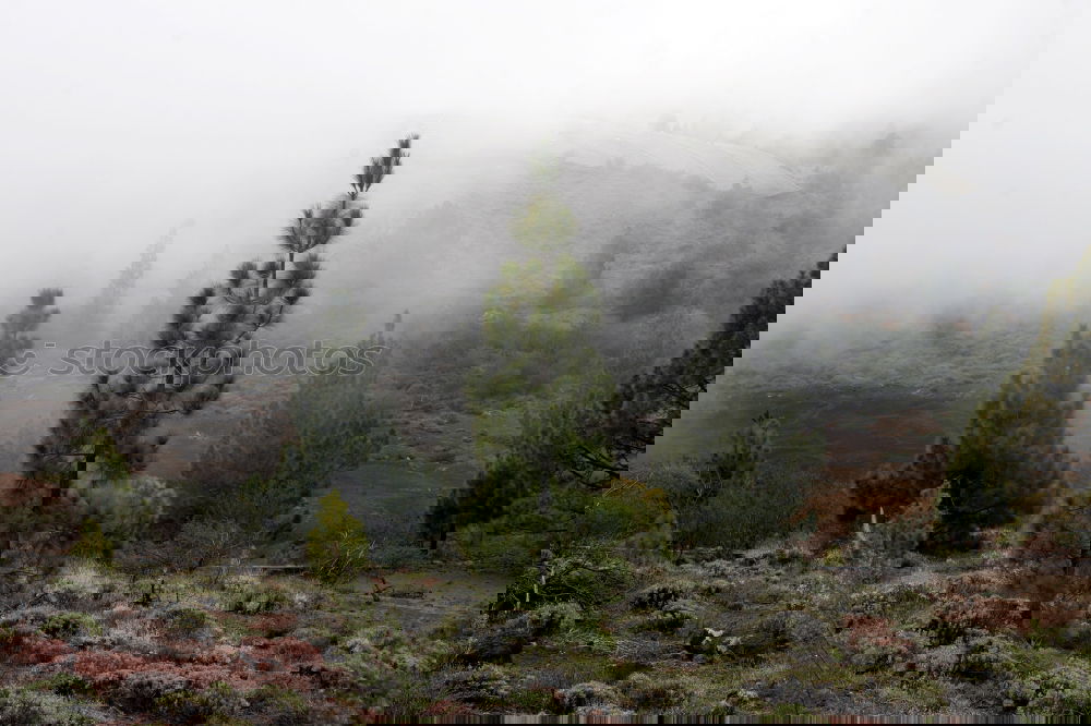 Similar – Image, Stock Photo Mountains with clouds in the mountains in South Tyrol II
