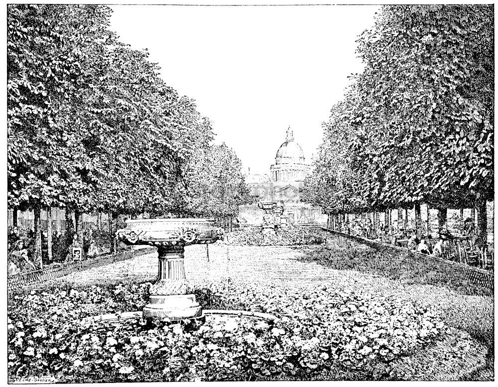 Image, Stock Photo courtyard garden White