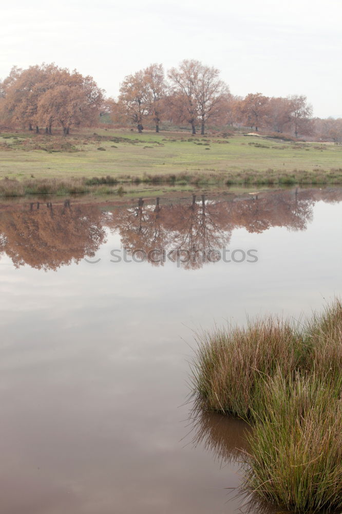 Similar – Mirror, mirror… Lake