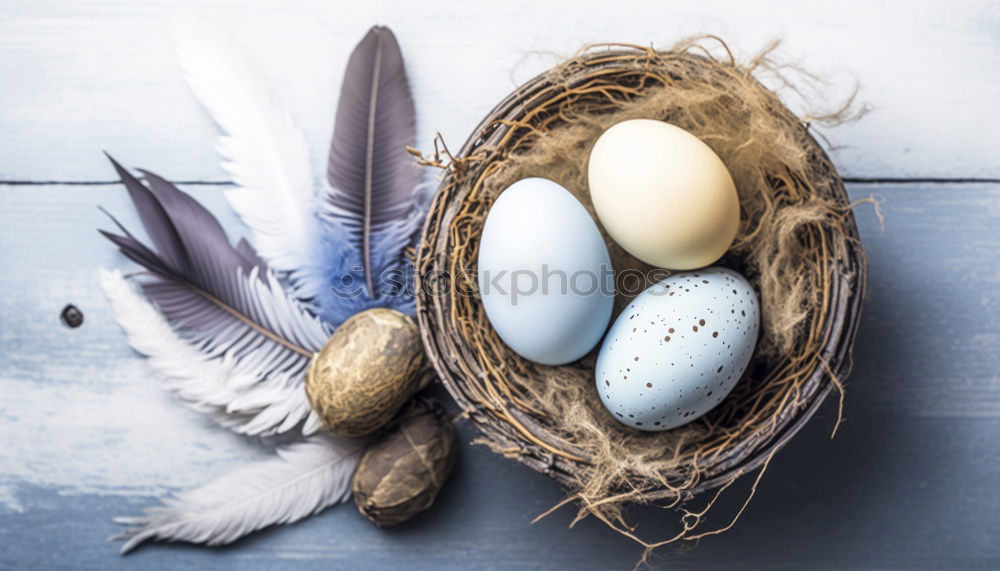 Similar – Image, Stock Photo Quail eggs on a wooden surface