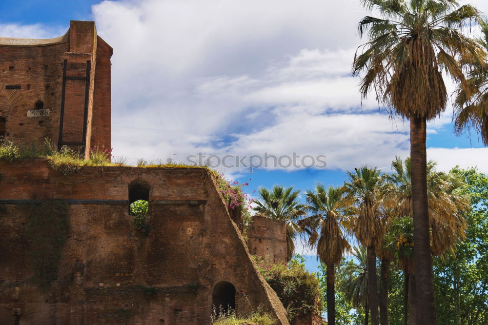 Similar – Image, Stock Photo Around the World: Ait-Ben-Haddou