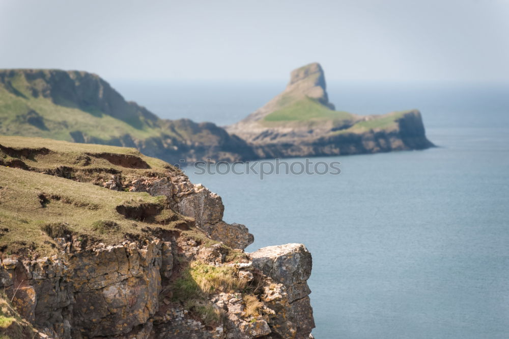 Similar – Ireland Ocean Sheep