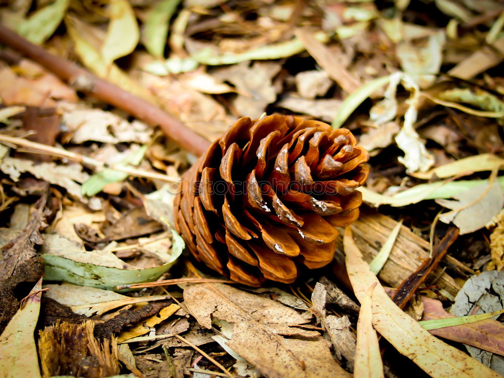 Similar – Image, Stock Photo Hi im back Life Harmonious
