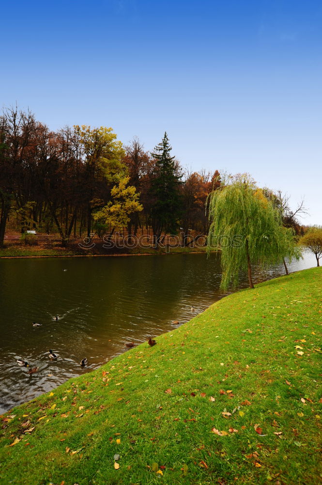 Similar – Inner Alster Sightseeing