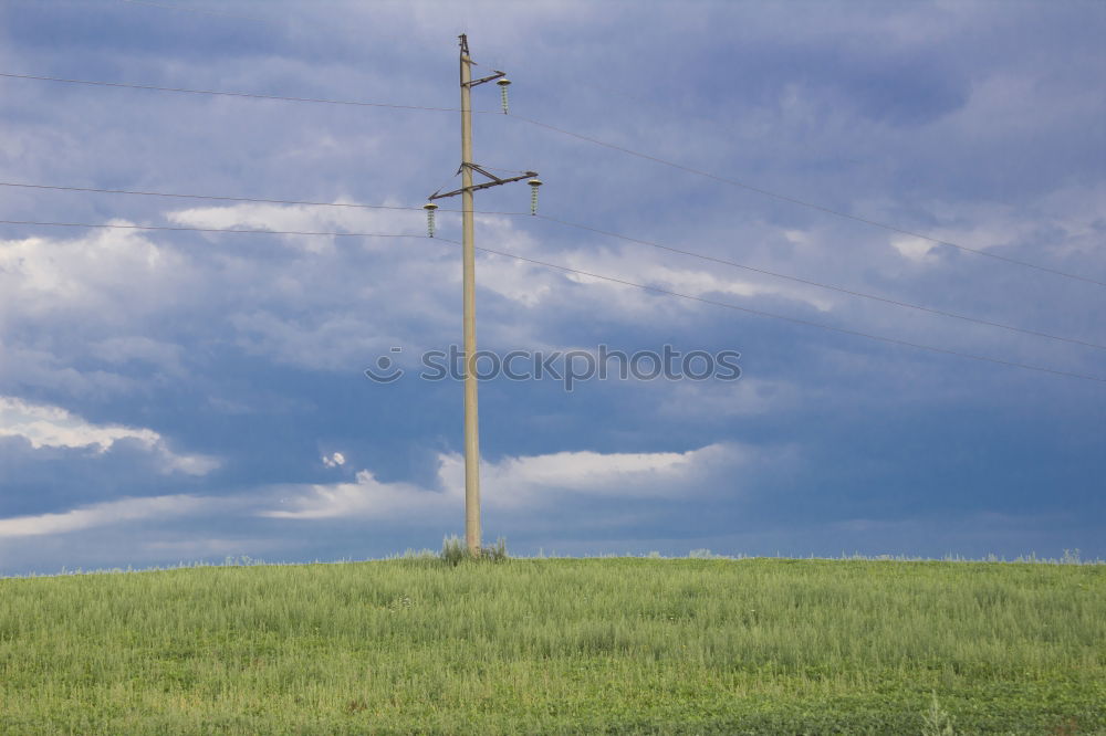 Similar – Image, Stock Photo Cuban Prairie