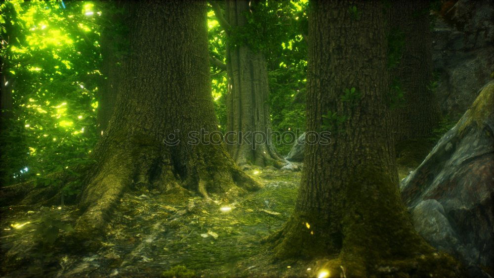 Similar – Foto Bild Grüne Hölle Umwelt Natur