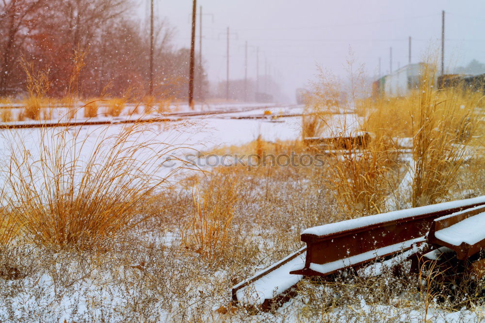 Similar – Foto Bild Berliner Winter