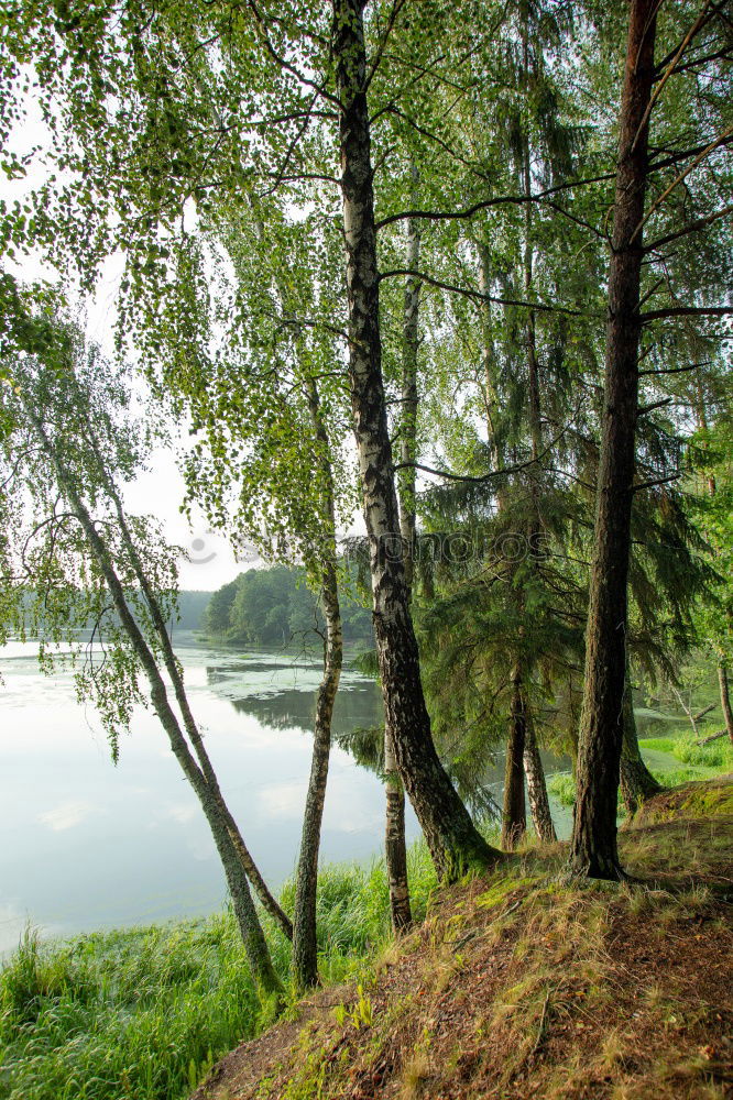 Swimming lake in Sweden