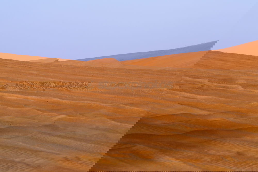 Similar – Image, Stock Photo in the morning in the Sahara