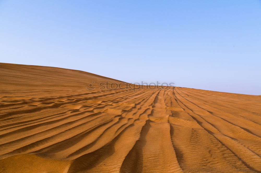 Similar – Foto Bild Sahara in Marokko Umwelt