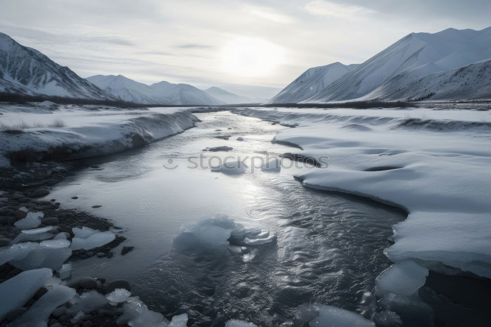 Similar – Glacier Bay Beautiful Life