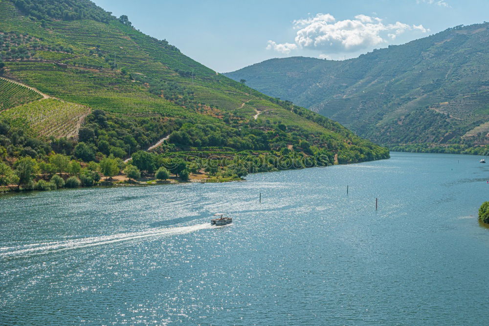 Similar – Image, Stock Photo Viticulture in the Douro Valley