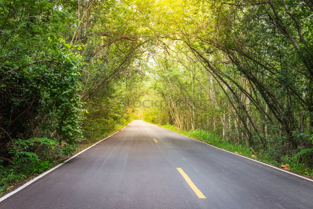 Similar – Car driving through forest