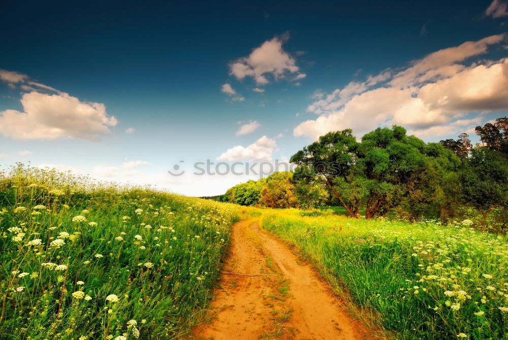 Similar – Image, Stock Photo overland route Environment