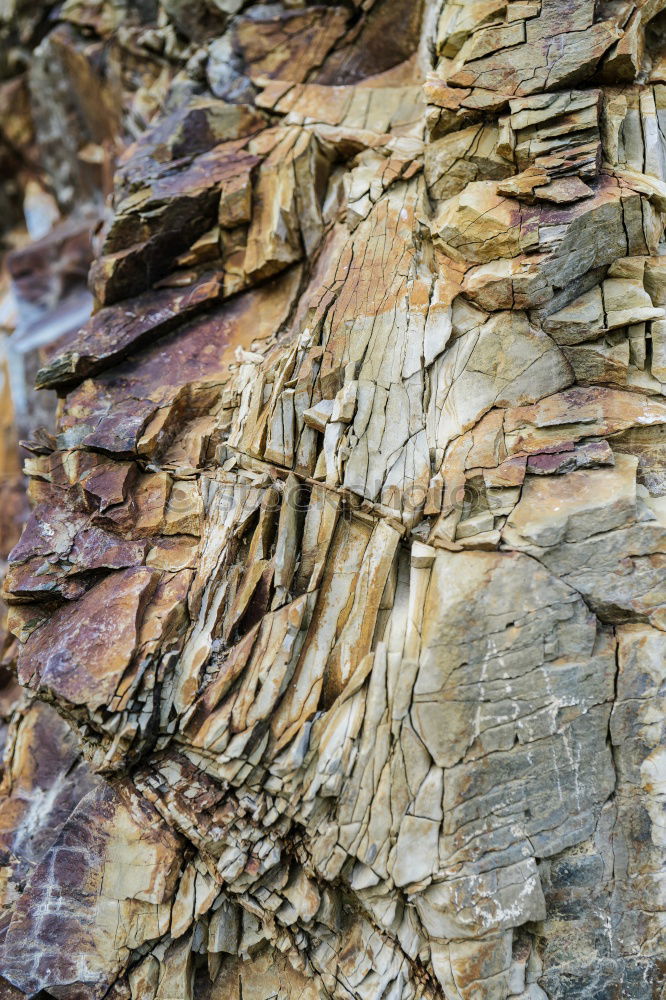 Similar – Image, Stock Photo Sedimentary rocks texture