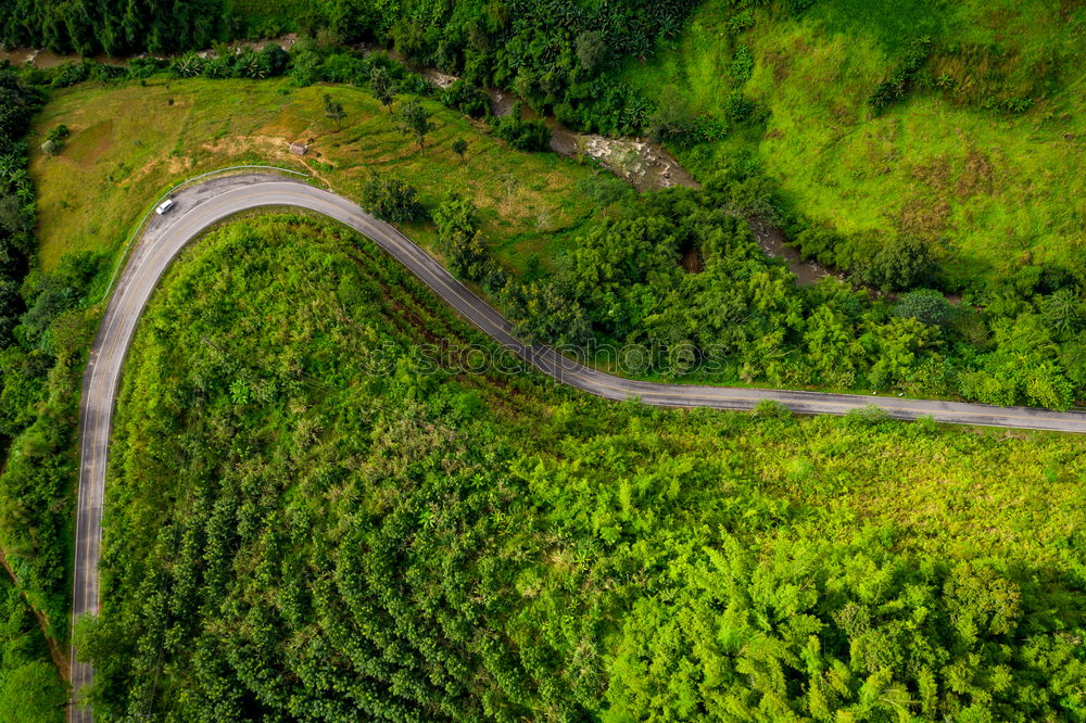 Similar – Image, Stock Photo Aerial top view top view of the road through the trees,