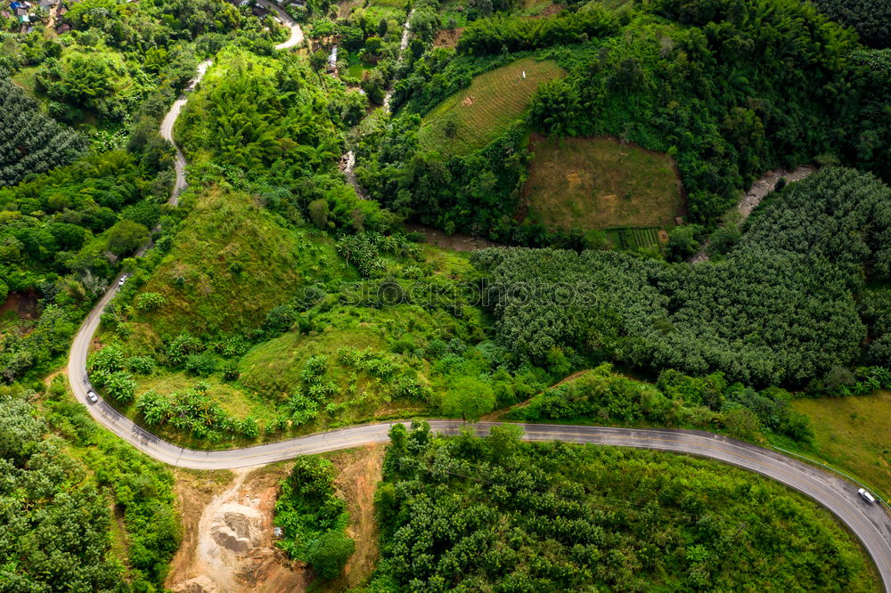 Image, Stock Photo Aerial top view top view of the road through the trees,