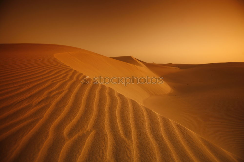 Similar – Sossusvlei (Namibia)