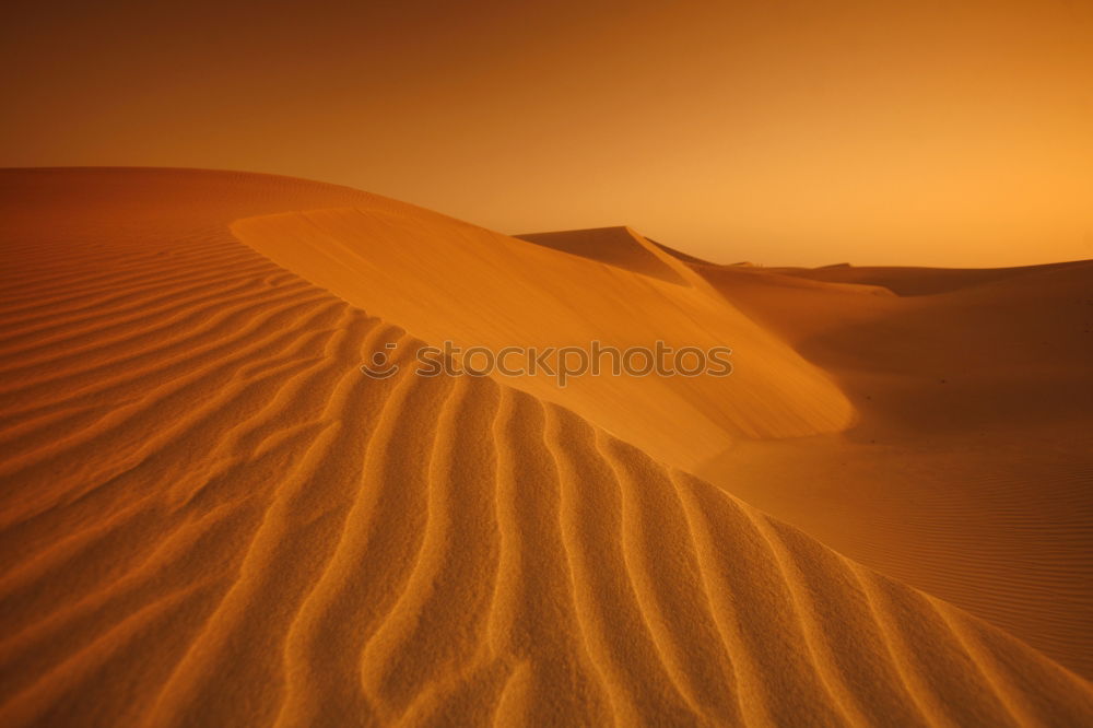 Similar – Image, Stock Photo Sahara in Morocco