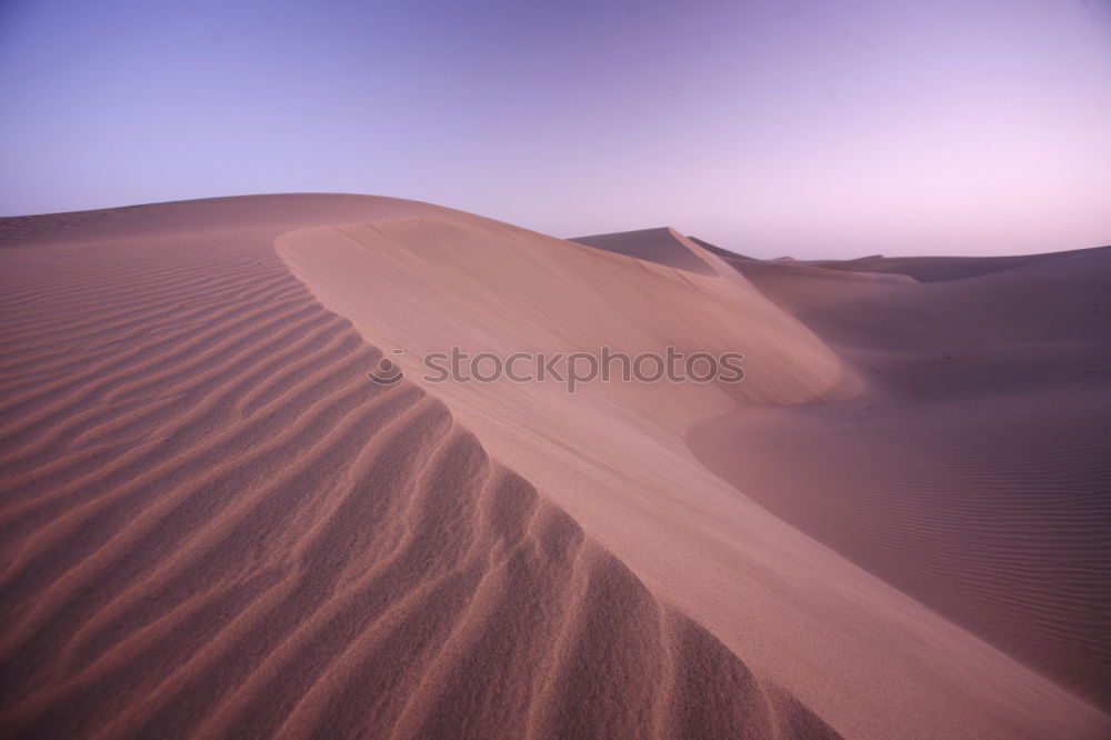 Similar – Image, Stock Photo Sahara Vacation & Travel