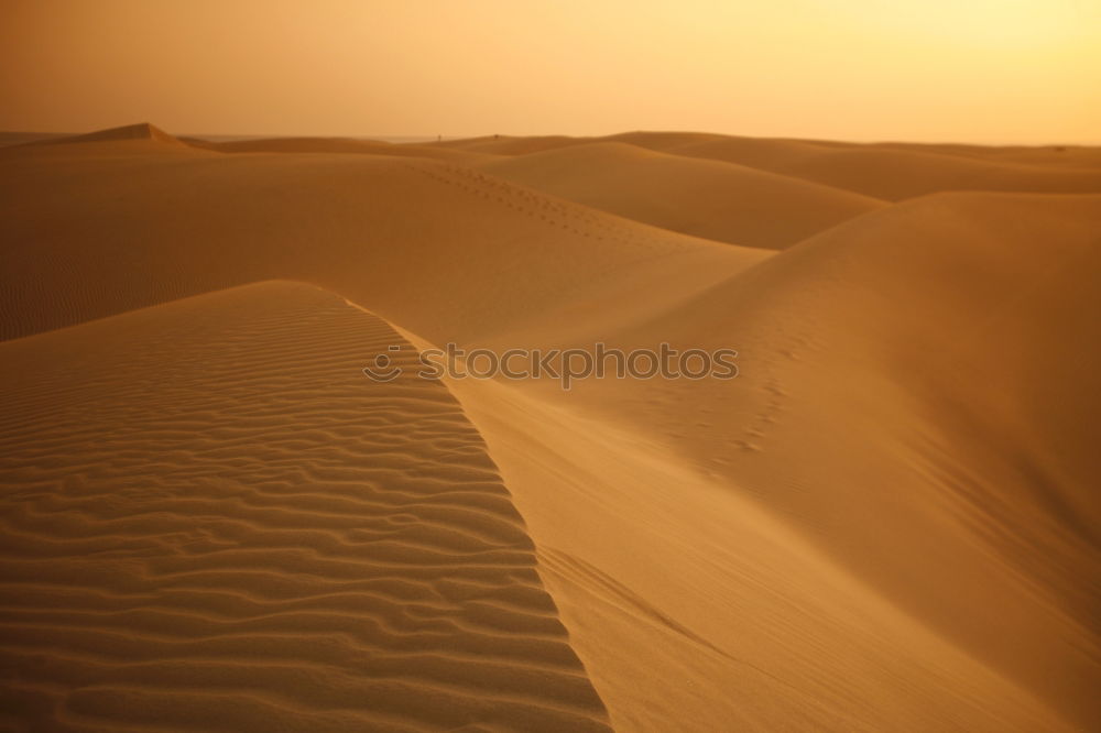 Similar – Image, Stock Photo Sahara in Morocco