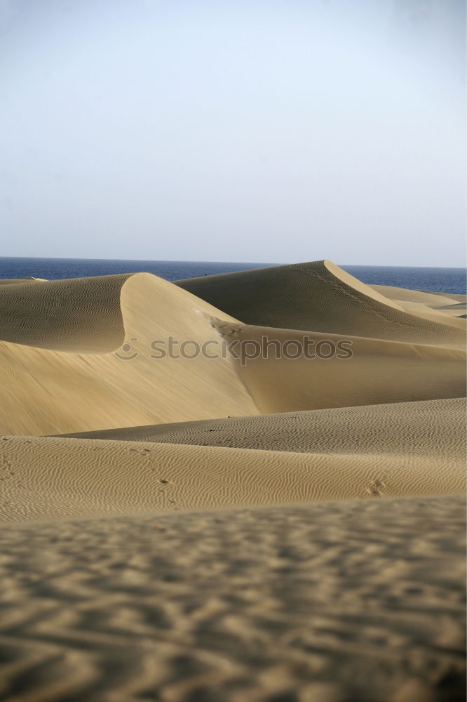 Similar – Image, Stock Photo Mui Ne Sand Dune