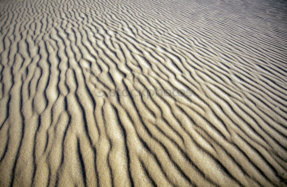 Similar – going home Sand Küste