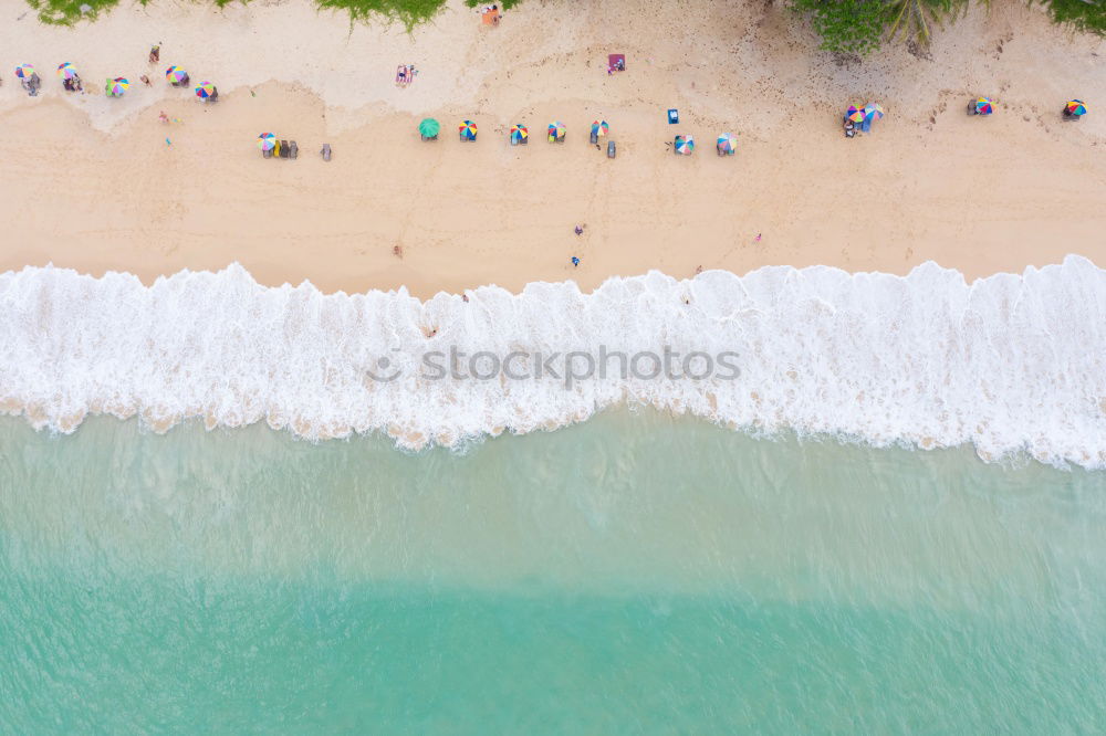 Similar – Bathing at the beach of Nazaré II