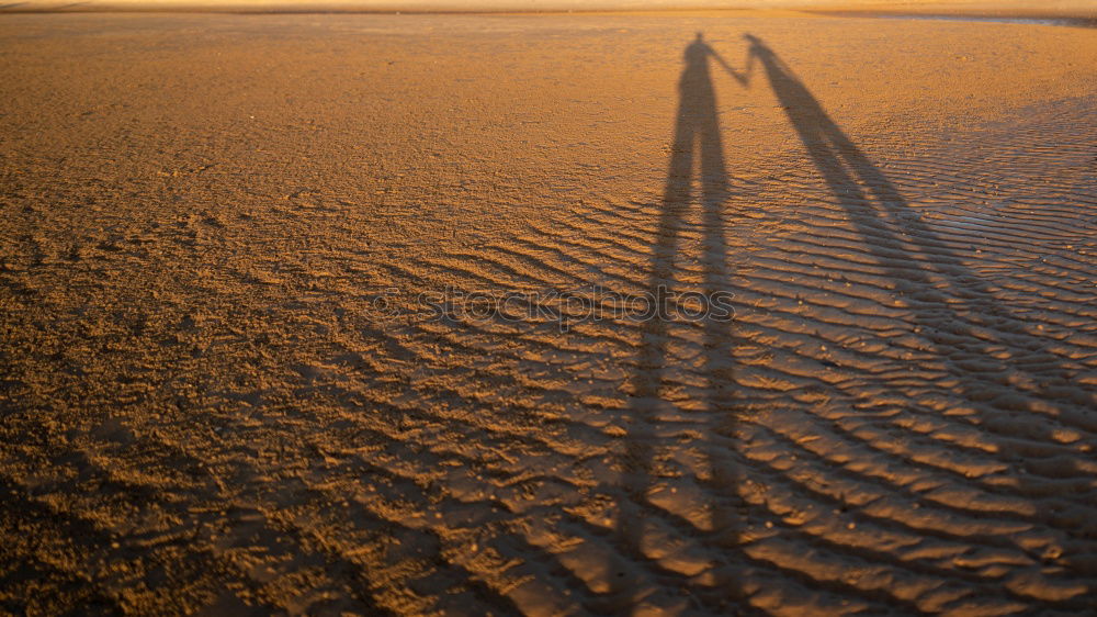 Foto Bild Außerirdische Strand Licht