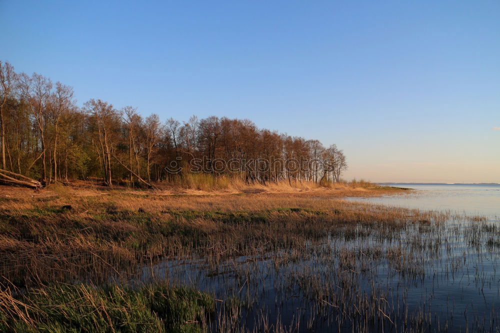 Similar – Image, Stock Photo Thiessov Morning Sky