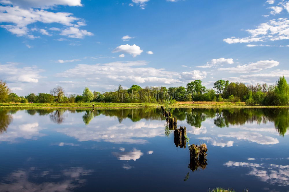 Similar – Image, Stock Photo summertime Nature Water