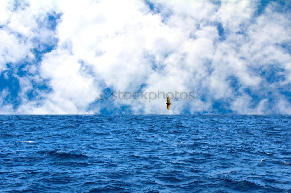 Image, Stock Photo behind fabric Tent Banana