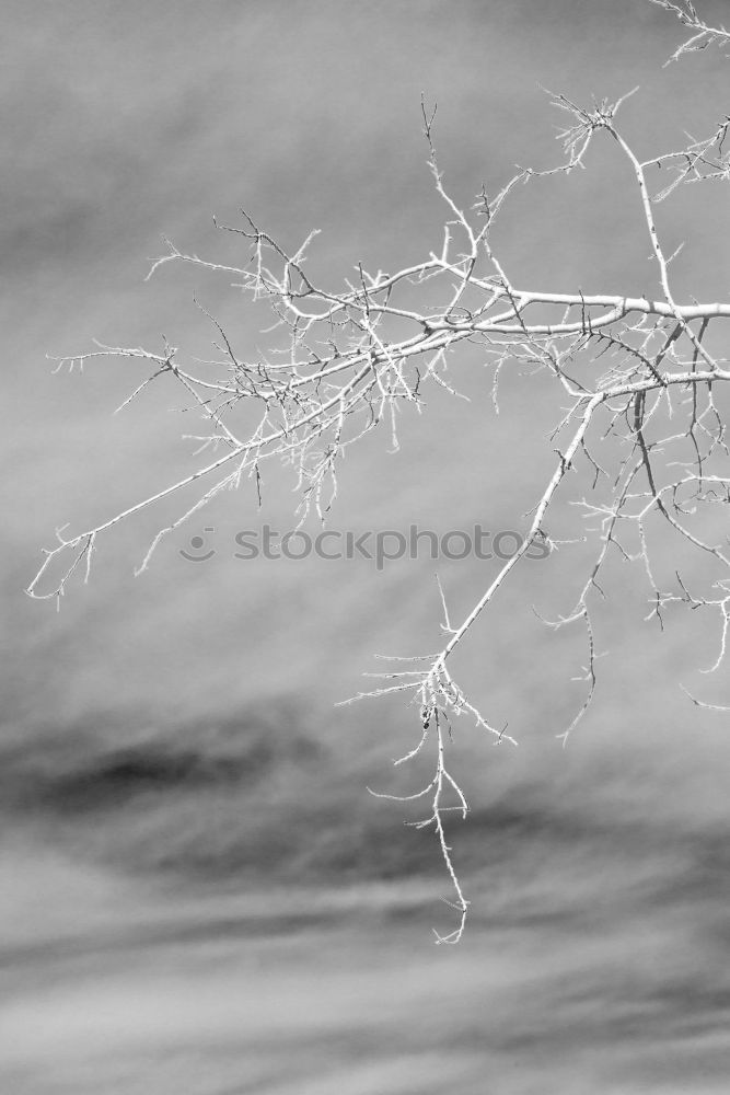 Similar – Image, Stock Photo green Lifestyle Sky Clouds