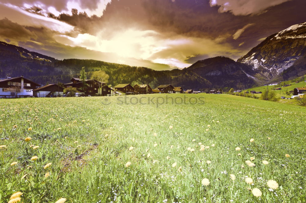 Similar – Image, Stock Photo Beautiful autumn sunny evening panorama. Tatras mountains