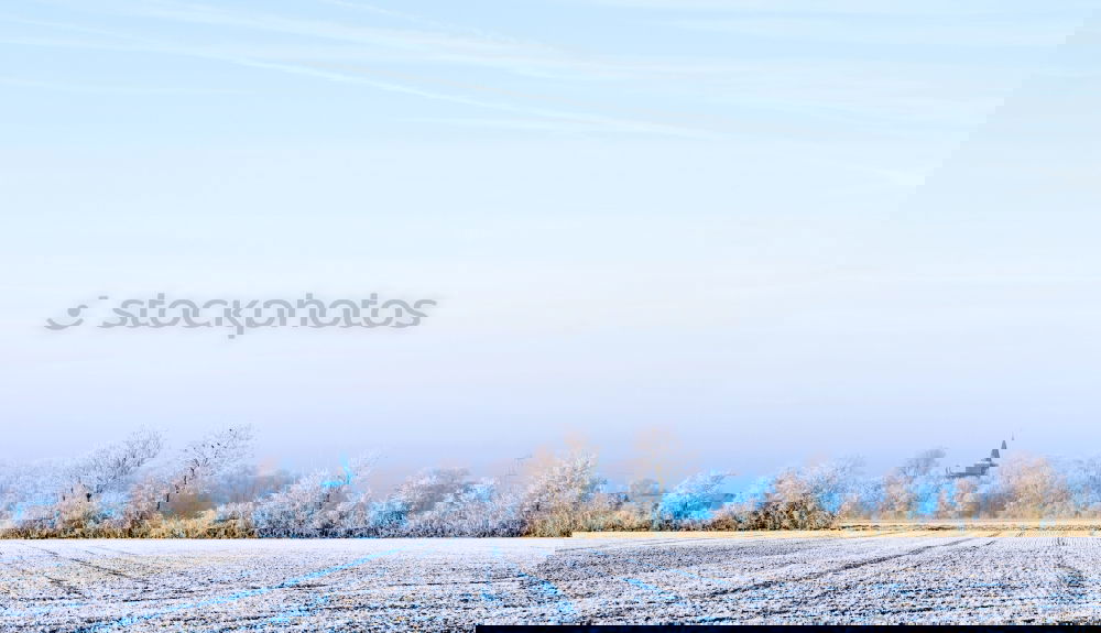 Similar – Image, Stock Photo winter landscape