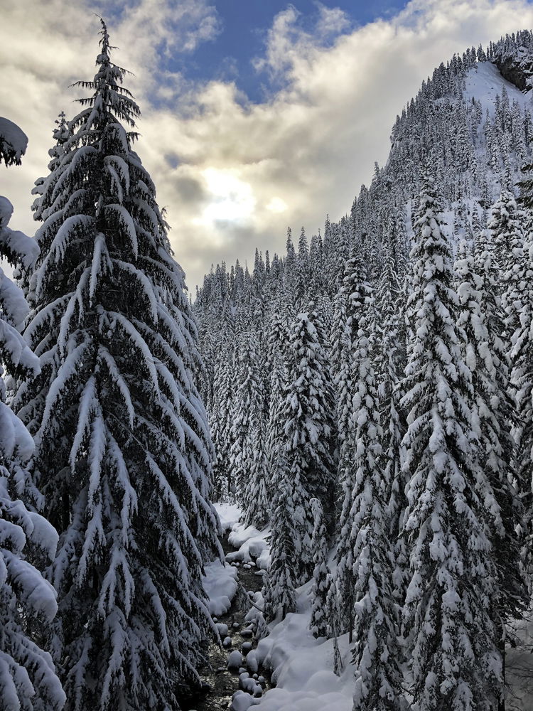 Landscape of snowy winter road with curves in the mountain