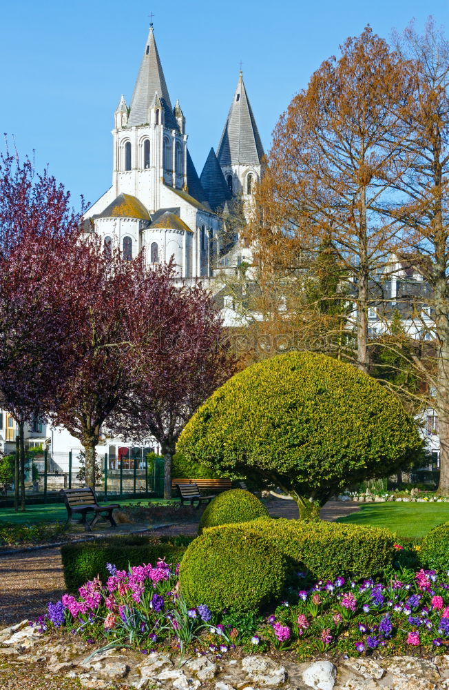 Similar – Frauenkirche Dresden in spring