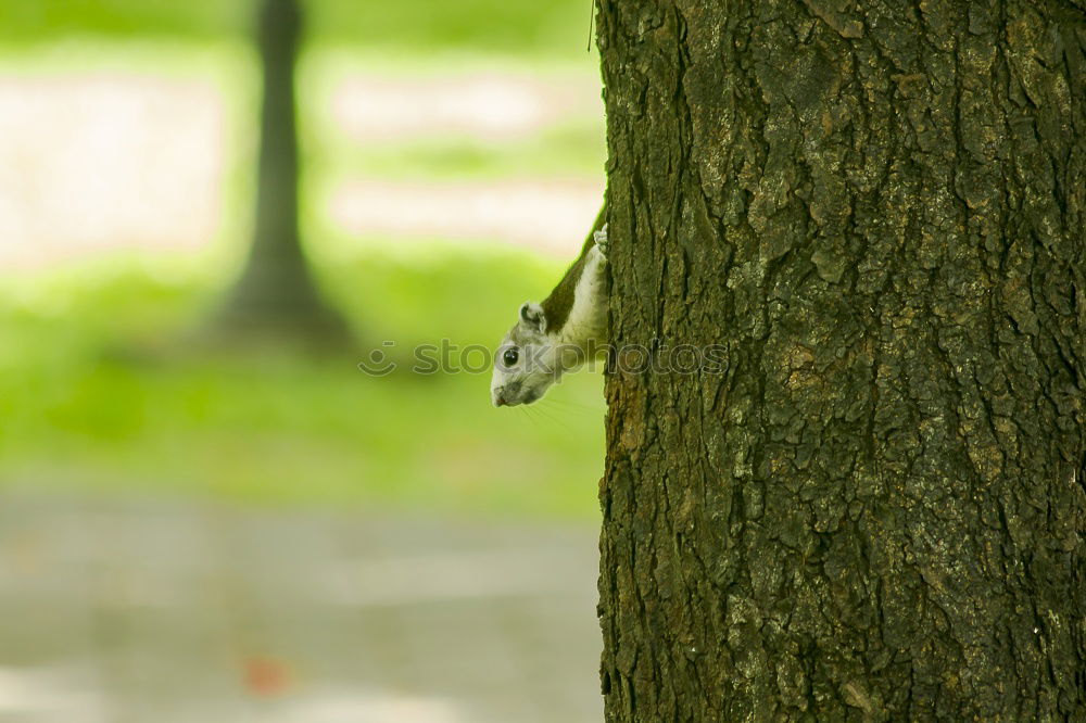 Similar – Image, Stock Photo bus stop Environment