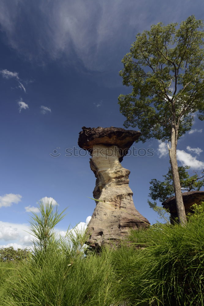 Similar – Image, Stock Photo Sao Chaliang Landscape, Amazing Natural of rock