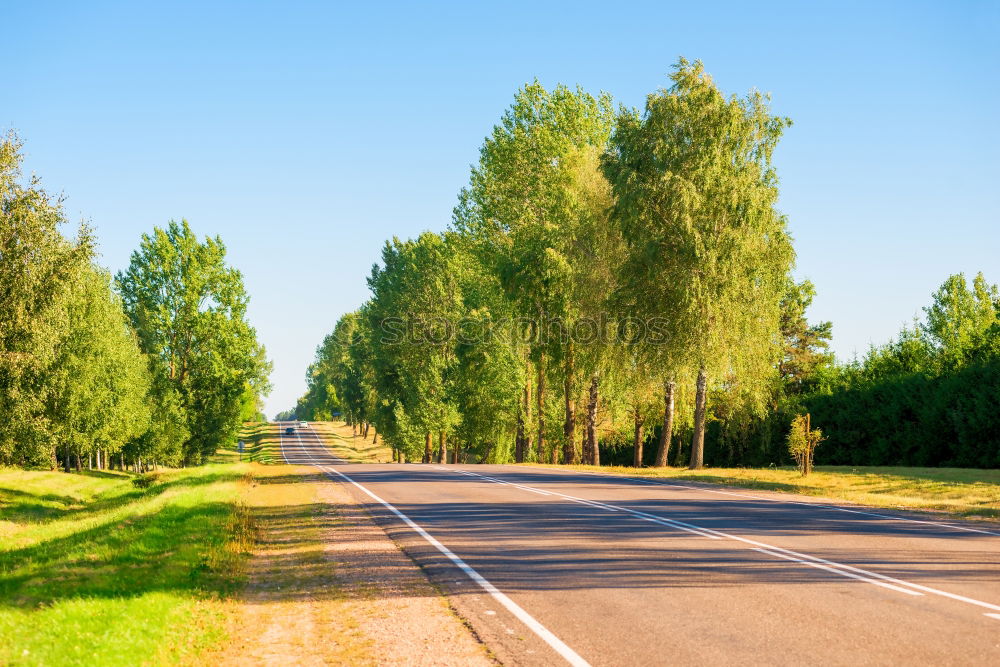 Similar – Image, Stock Photo Aerial view on countryside road. Straight road view from above.