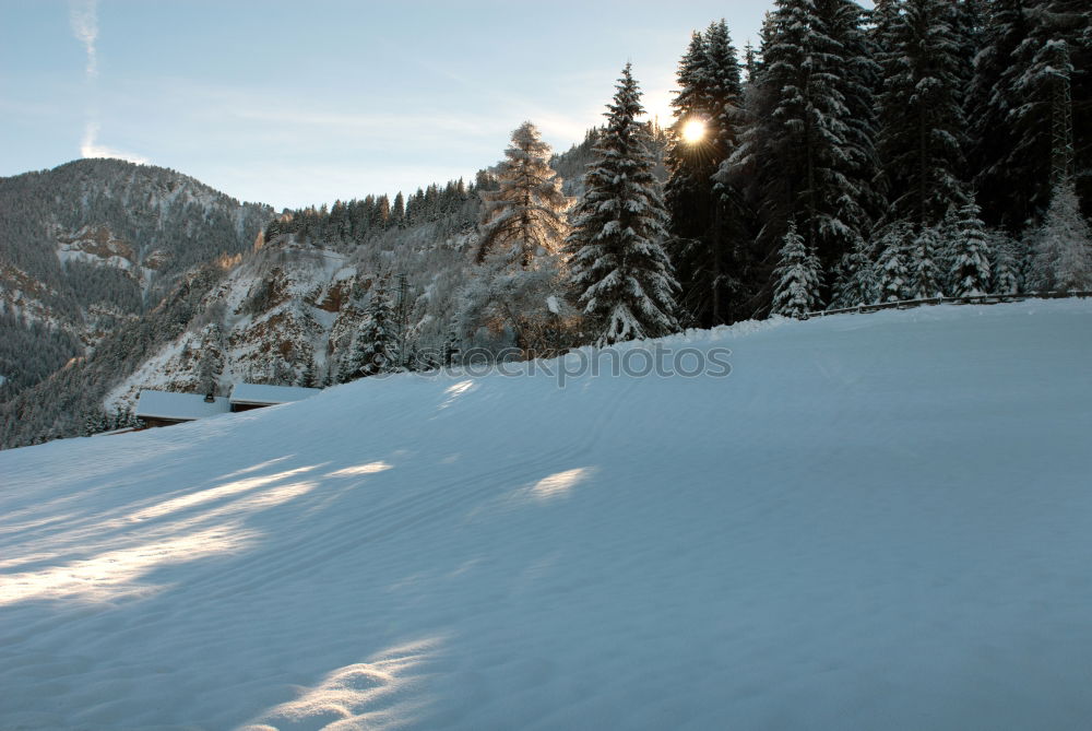 Similar – Image, Stock Photo Pic in Val Gardena, South Tyrol