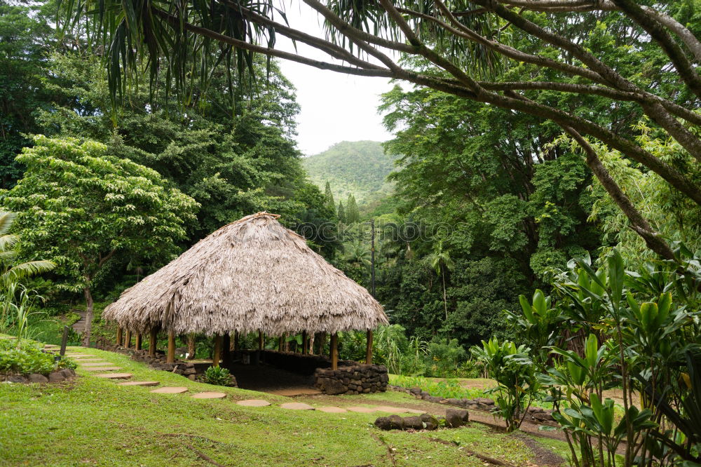 Similar – Image, Stock Photo Wooden house in forest